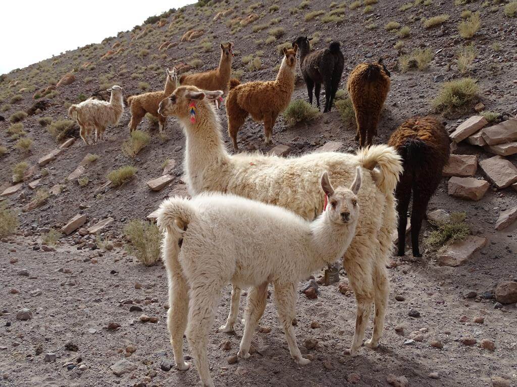 territorio_mini